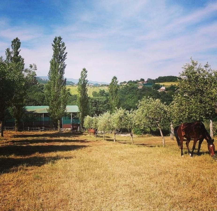 Il Nido Della Colombaia Bed & Breakfast San Nicola Manfredi Dış mekan fotoğraf